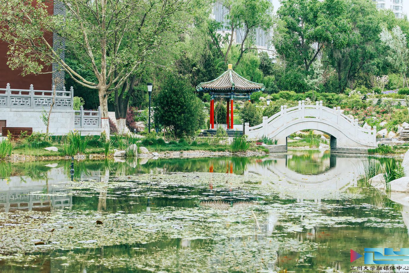 学术沙龙：智能感知与结构健康监测前沿